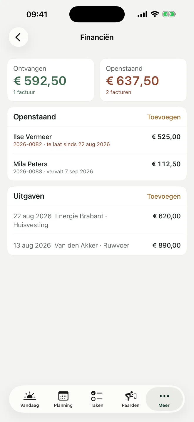 Het overzicht van facturen en uitgaven